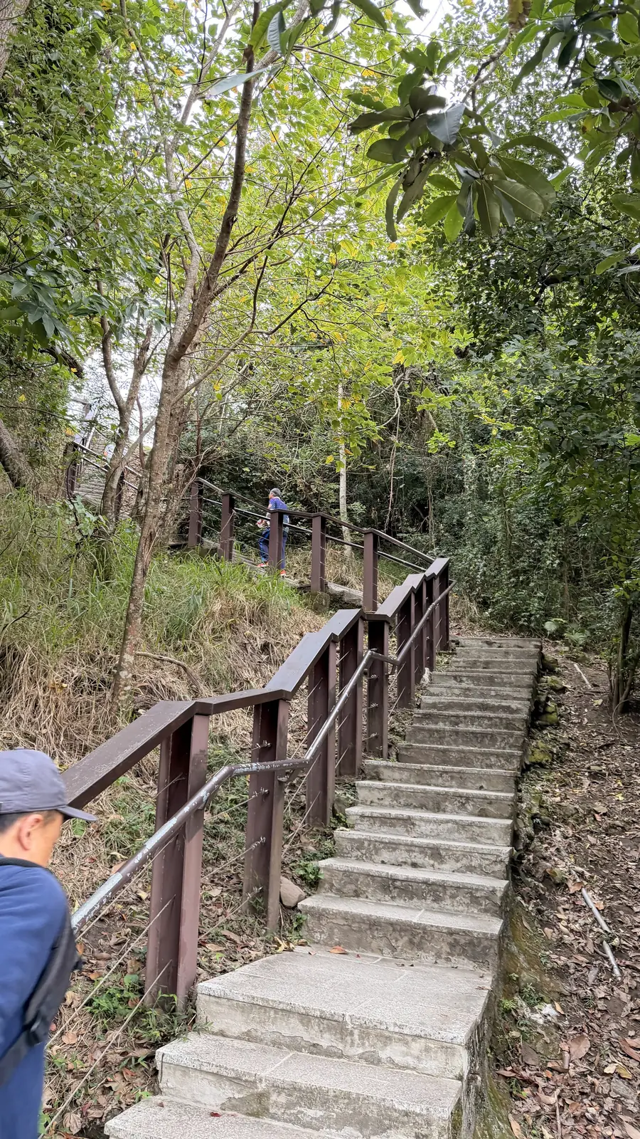 鯉魚山公園:巷口5分鐘的城市綠洲
