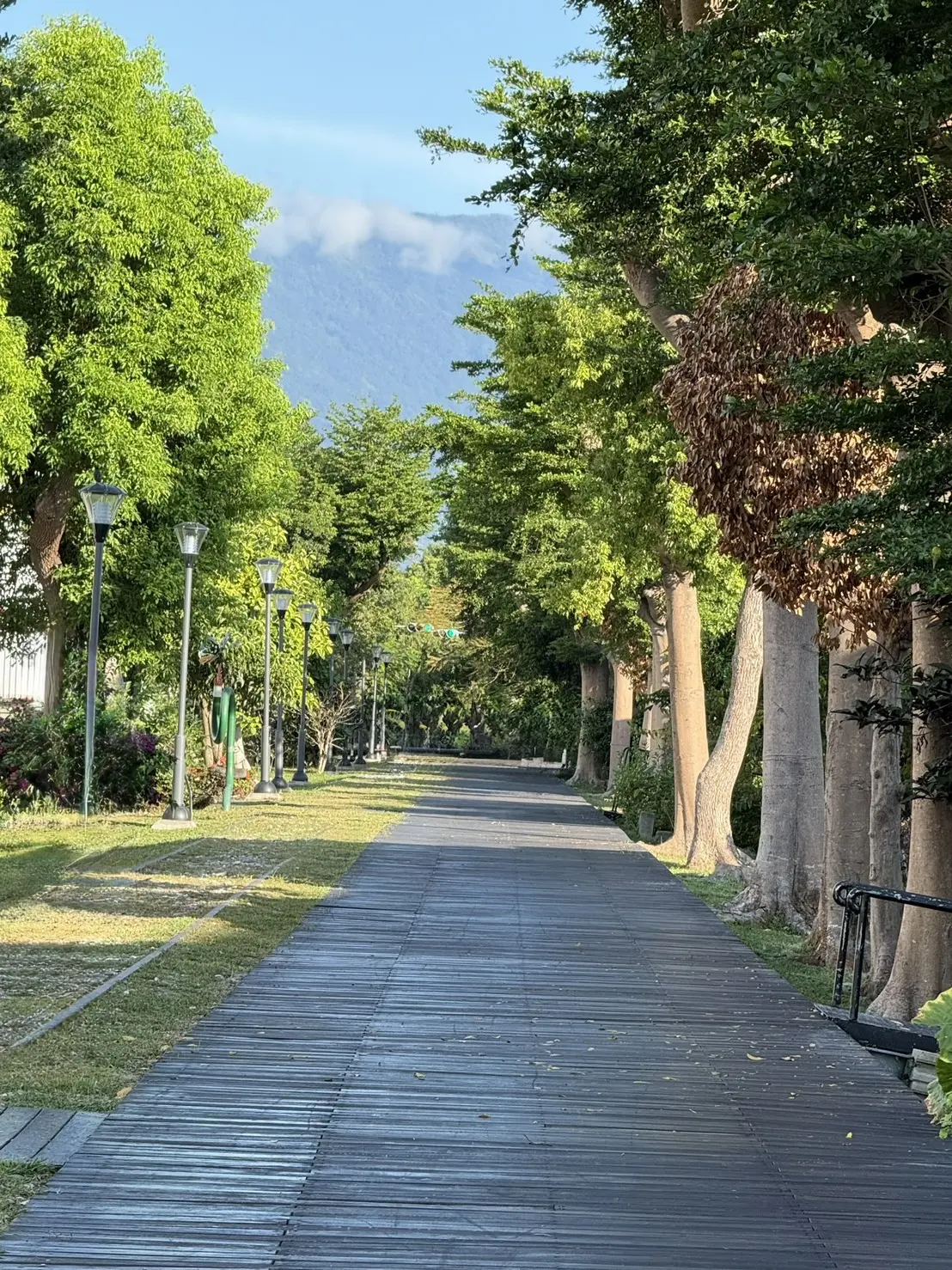 台東林蔭步道,遠眺雲霧繚繞的都蘭山